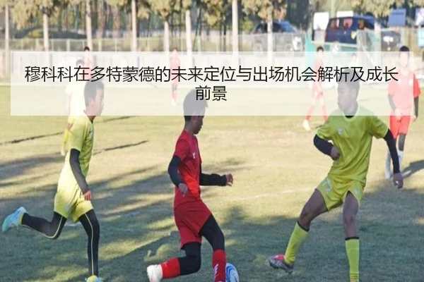 穆科科在多特蒙德的未来定位与出场机会解析及成长前景