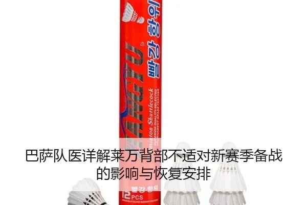 巴萨队医详解莱万背部不适对新赛季备战的影响与恢复安排